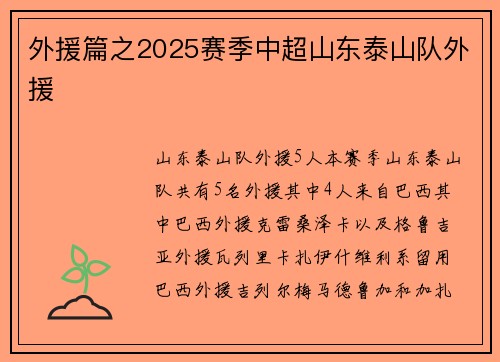 外援篇之2025赛季中超山东泰山队外援